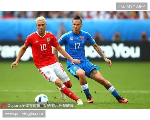 新2体育与传统体育博彩平台的比较评估 新2体育与传统体育博彩平台的比较评估