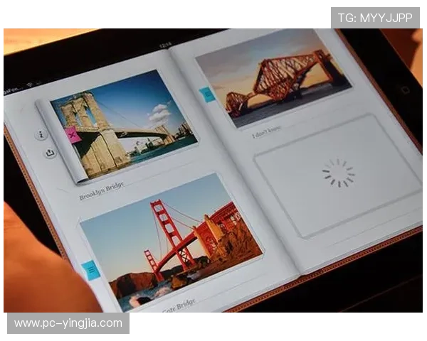 海德体育中文站的用户体验与界面设计分析