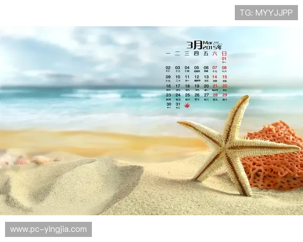 海星官网下载地址及使用指南,轻松下载海星软件,畅享优质体验 海星官网下载地址及使用指南,轻松下载海星软件,畅享优质体验