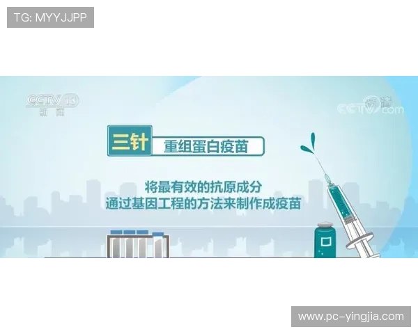 解析K8体育登录登录线路保障用户隐私的技术