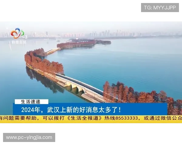 2024年最新eb体育网址导航大全及其安全性和使用指南