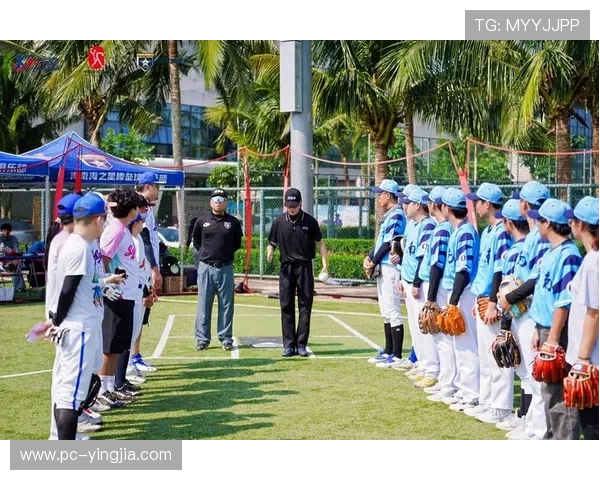 蓝鲸体育平台功能详解：全面分析蓝鲸体育提供的赛事管理、数据分析与用户互动工具
