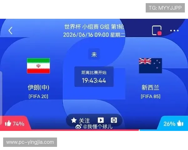 世界杯伊朗新西兰球队身价分析：两队球员市场价值对比与最新动态